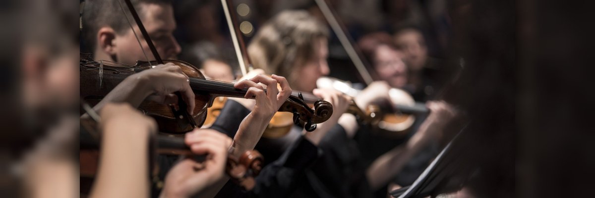 Das Bild eines Orchesters wo mehrere Menschen Geige spielen
