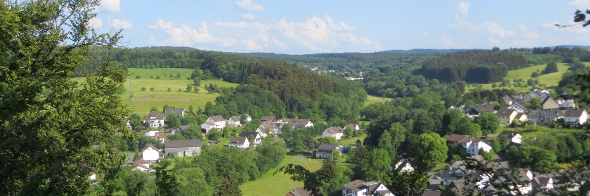 Luftbild der Ortsgemeinde Limbach