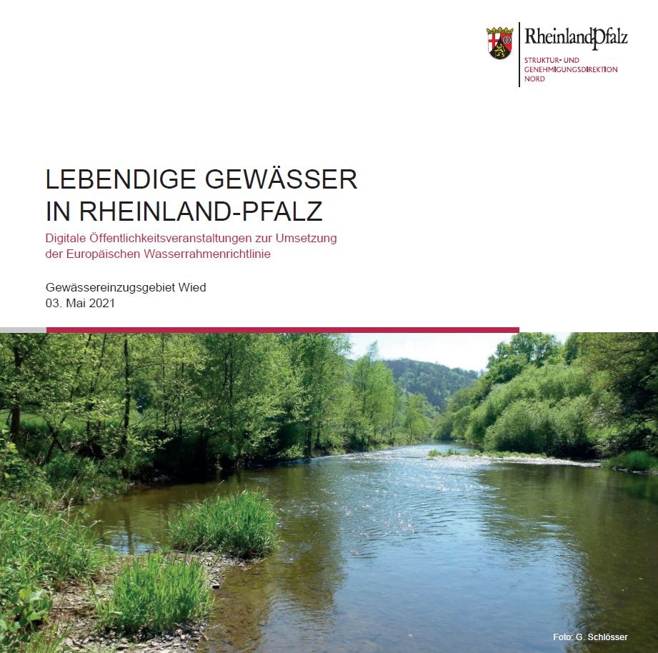 Flyer zu Lebendige Gewässer