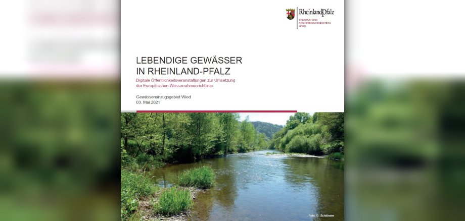 Flyer zu Lebendige Gewässer