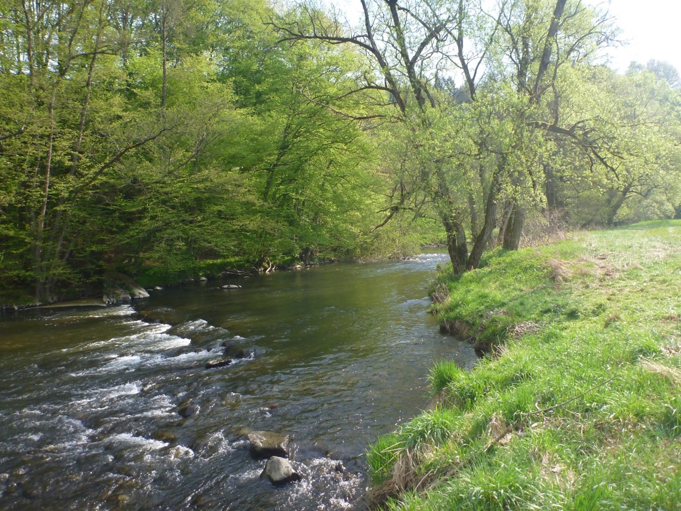 Eine Abbildung des Flusses Nister