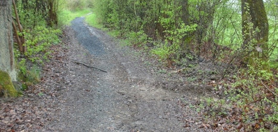 Wiedwanderweg zwischen Höchstenbach und der Krambergsmühle