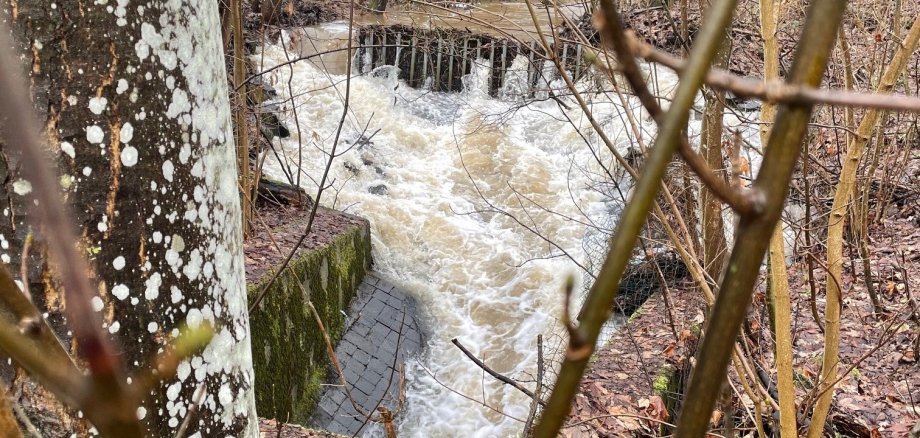 Hochwasser am Rothenbach