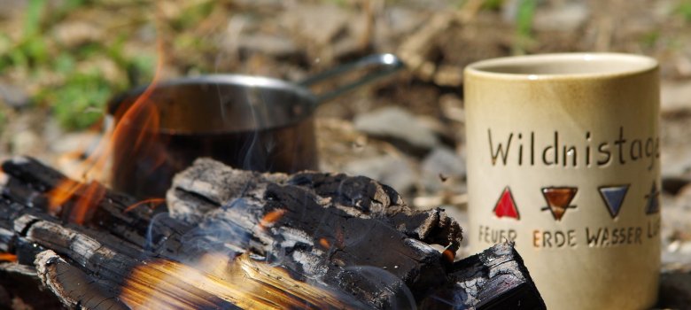 Bild eines Lagerfeuers