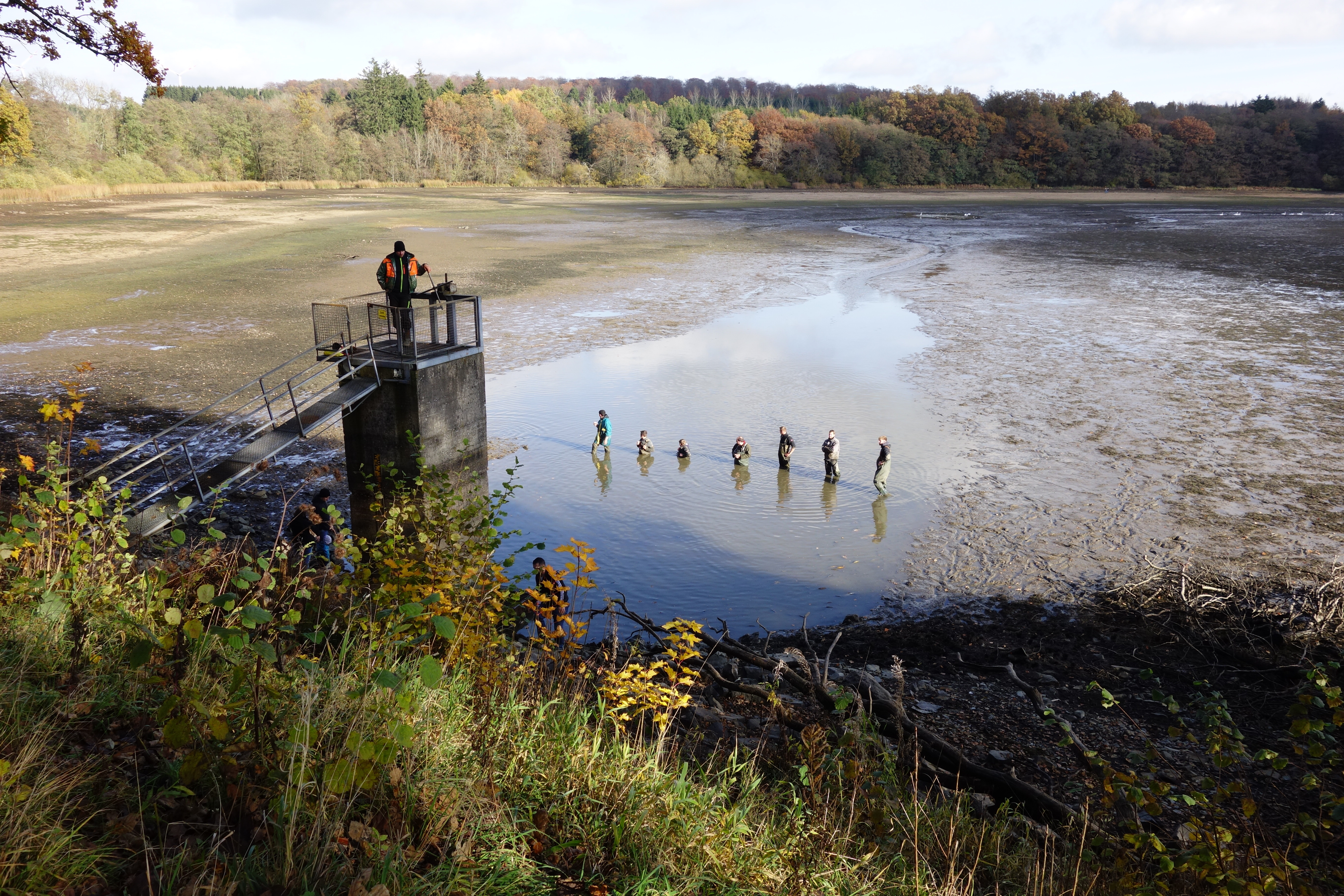 Abfischaktion am Dreifelder Weiher am 06. November 2021