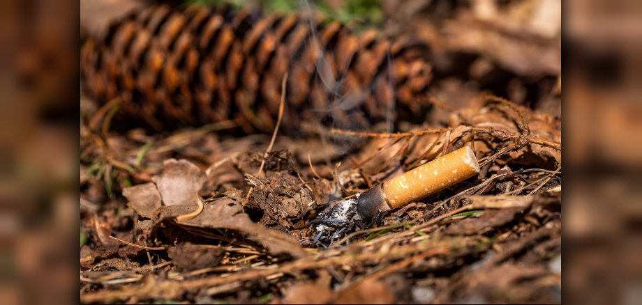 Weggeworfene Zigarette löst einen Waldbrand aus