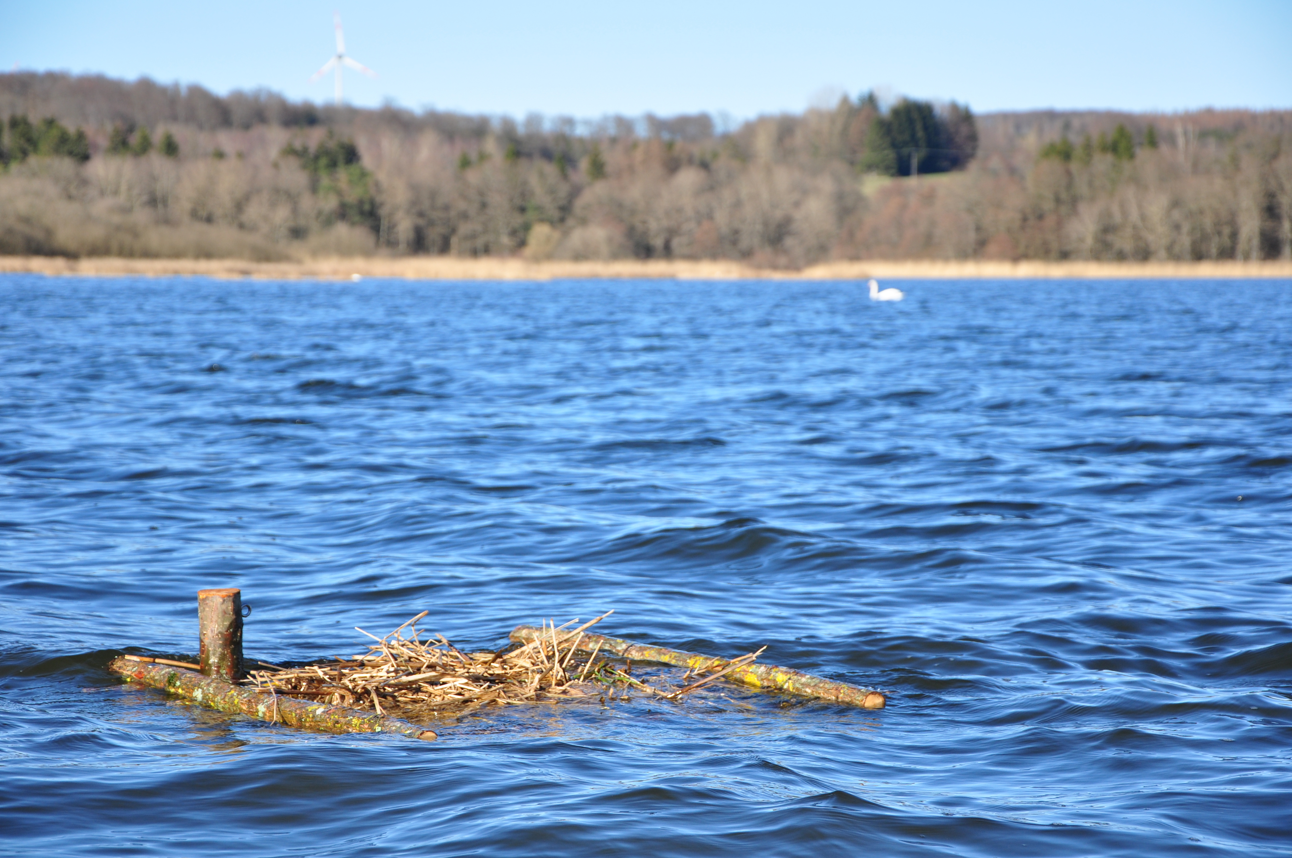Bild einer schwimmenden Nisthilfe in der Westerwälder Seenplatte