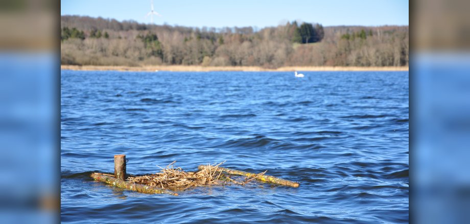 Bild einer schwimmenden Nisthilfe in der Westerwälder Seenplatte