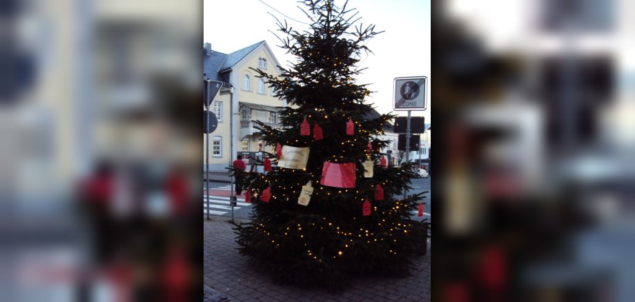 Bild eines Weihnachtsbaumes