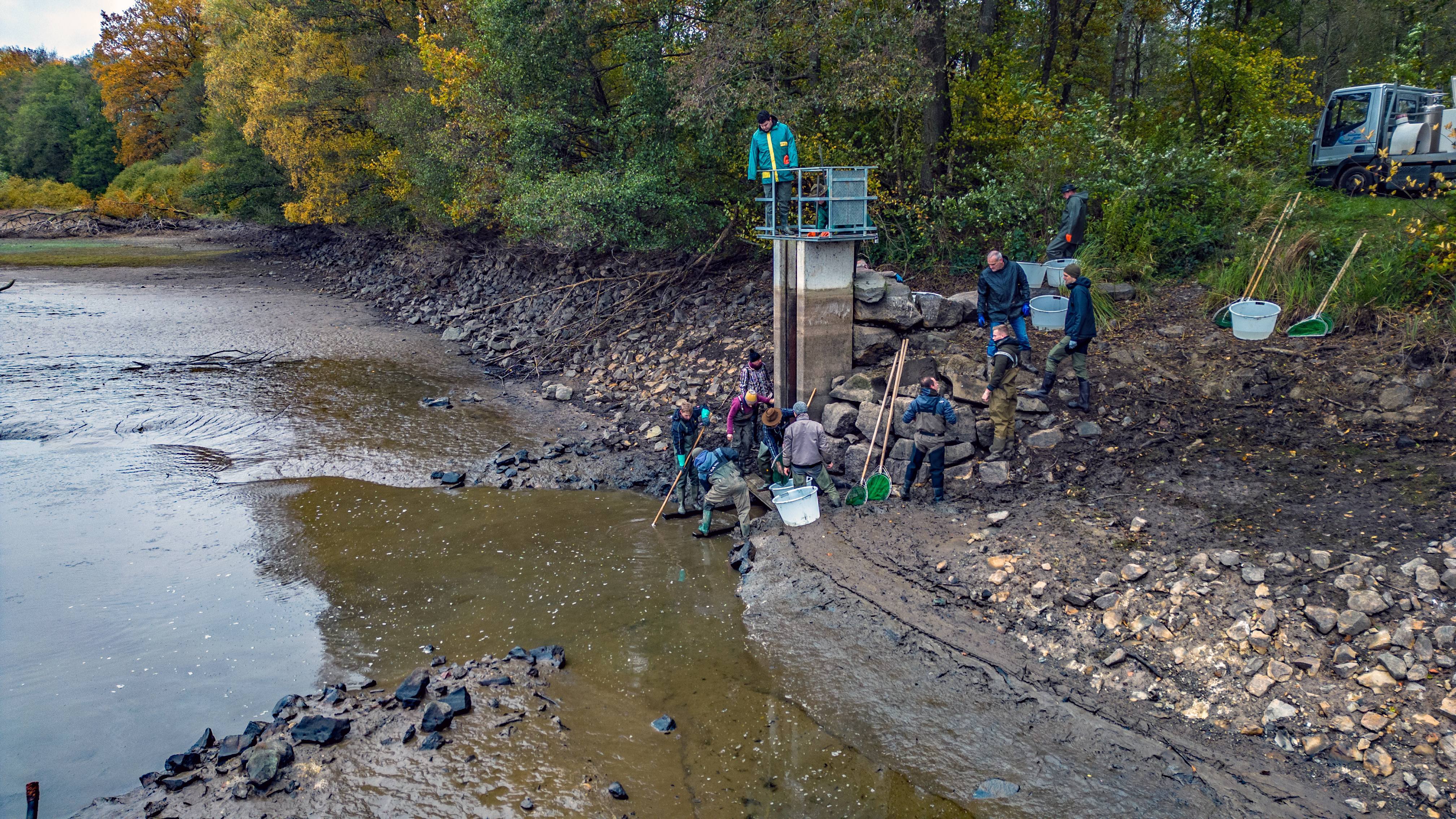 Bild vom Hofmannsweiher