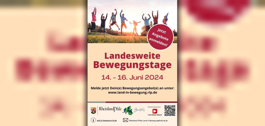 Flyer Landesweite Bewegungstage