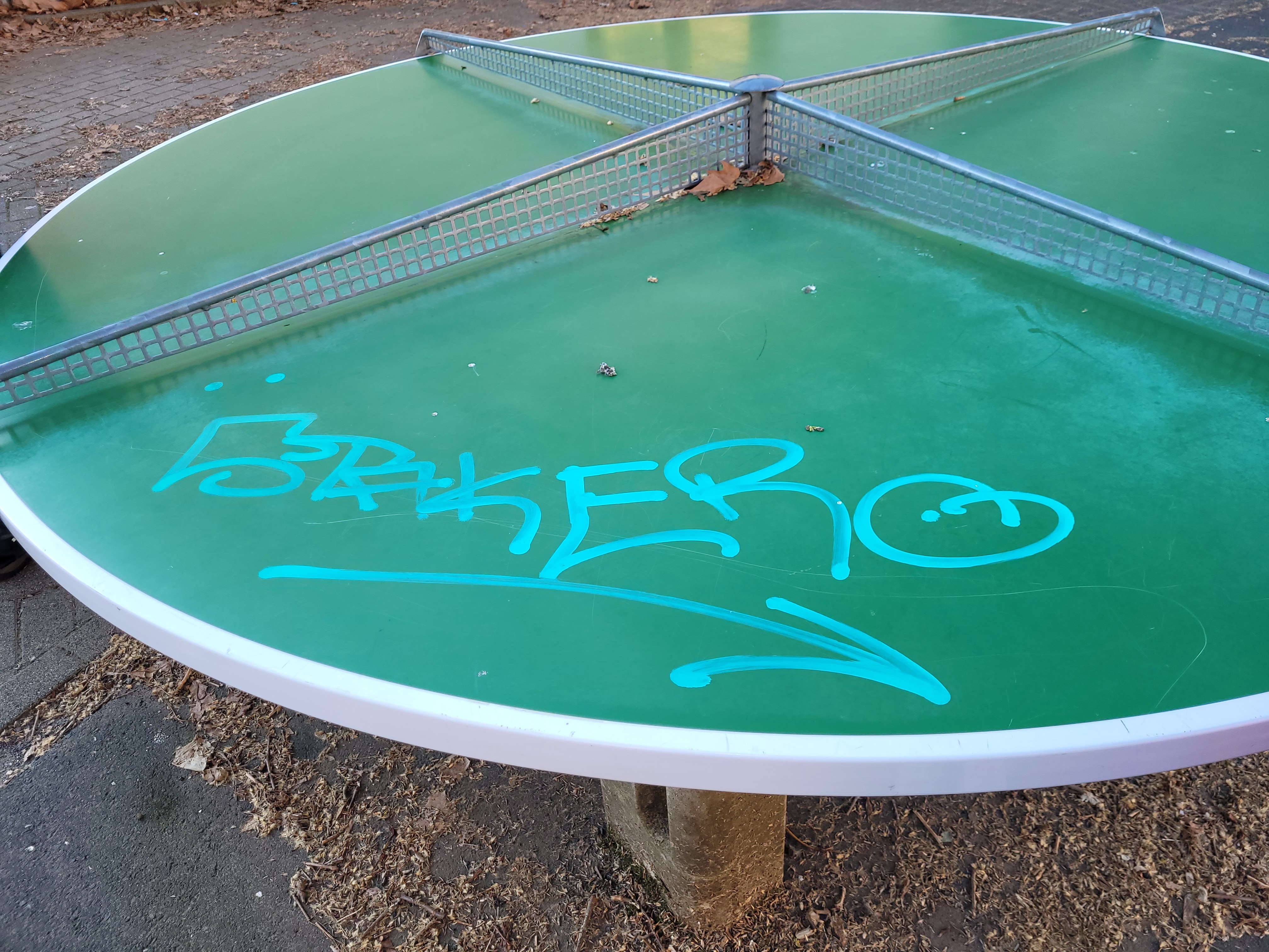 Bild der beschädigten Tischtennisplatte