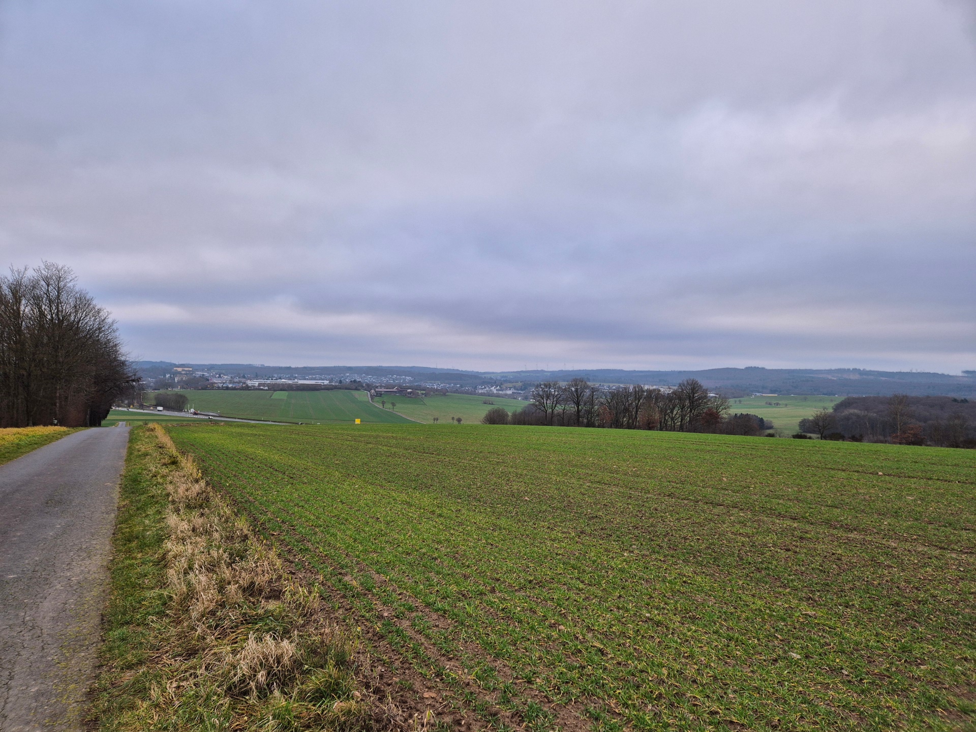 Ein Feld in Müschenbach