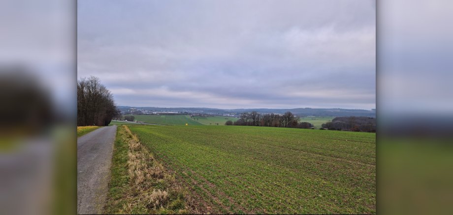 Ein Feld in Müschenbach