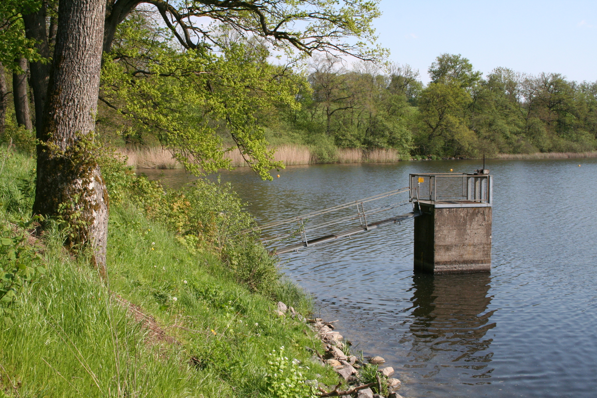 Ein Foto des Mönchbauwerkes des Dreifelder Weihers