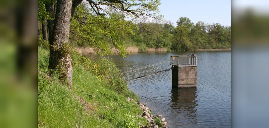 Ein Foto des Mönchbauwerkes des Dreifelder Weihers