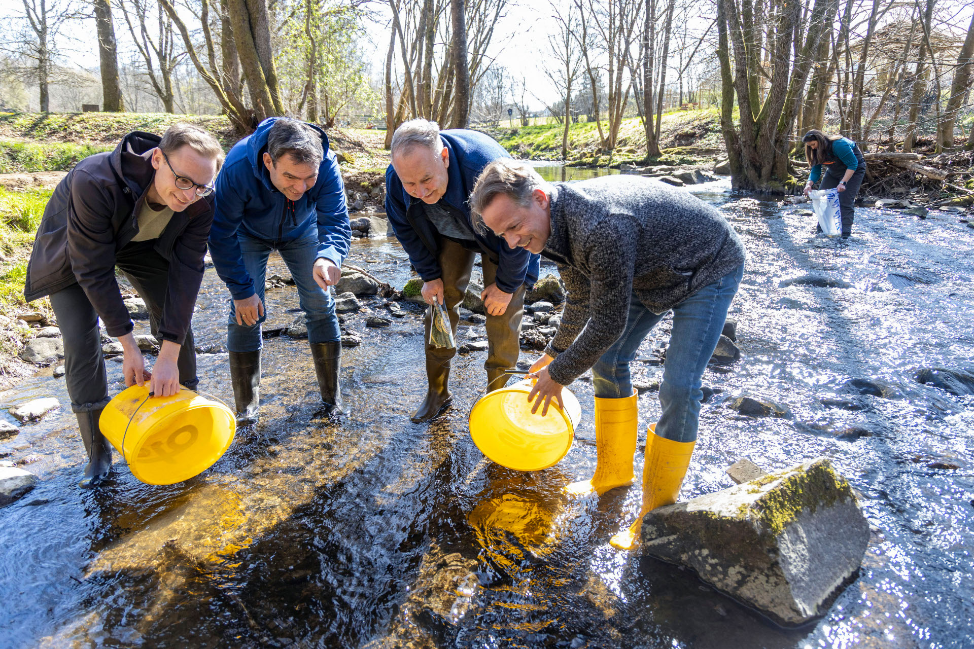 Aussetzen von Lachsen in der Nister