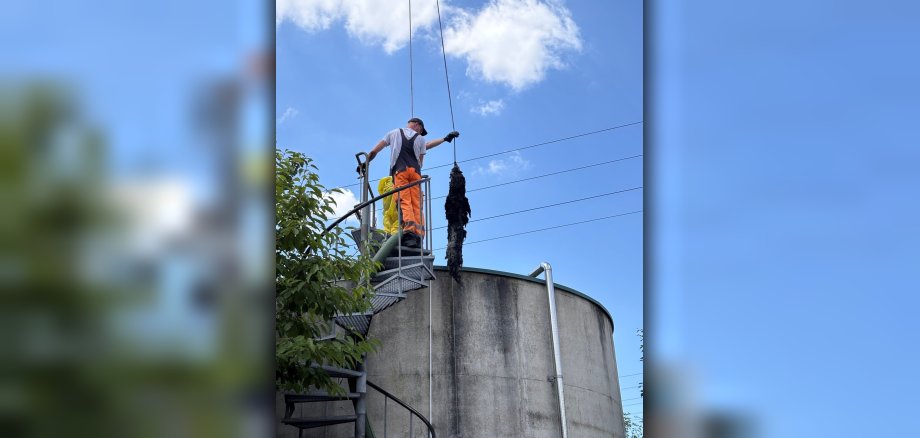 Verzopfung wird entfernt