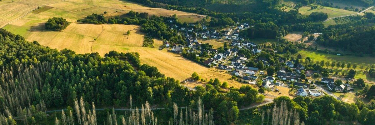 Hachenburger Westerwald - Wald und Weidefläche aus Luftaufnahme